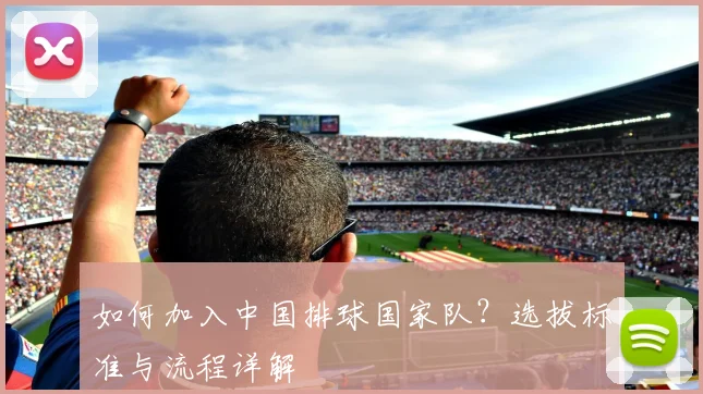 如何加入中国排球国家队?选拔标准与流程详解