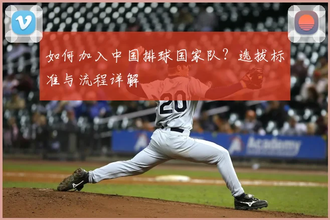 如何加入中国排球国家队？选拔标准与流程详解