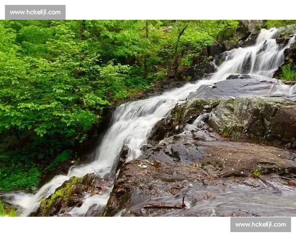 致命沸腾线！救生衣无效，专家紧急提醒夏季远离滚水坝